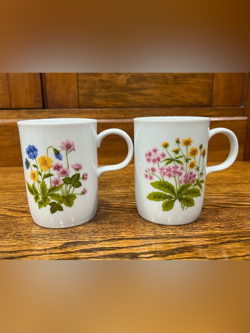 Vintage Floral Botanical Mugs – Set of 2 – Cottagecore Nature Farmhouse Earthy
